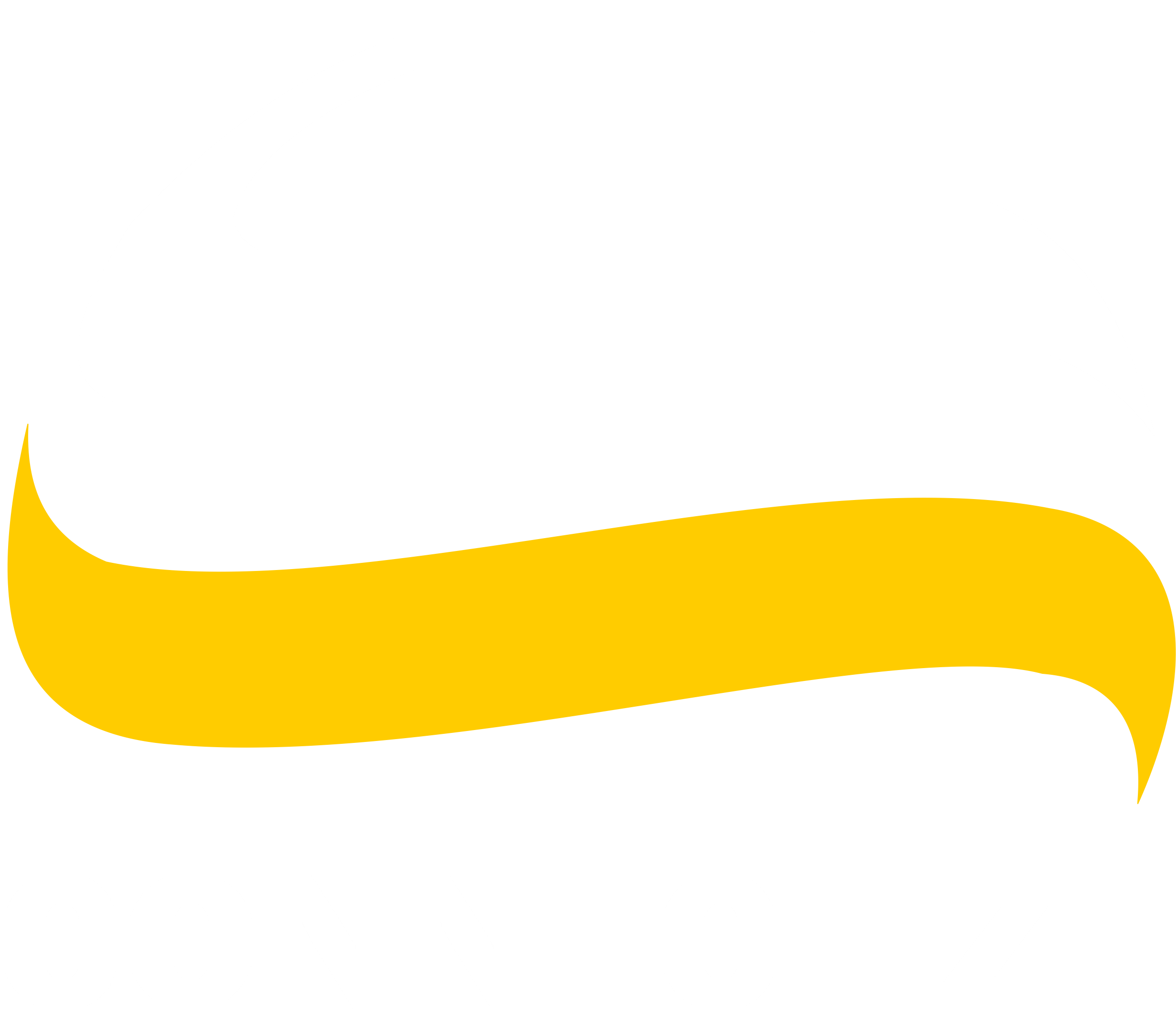 Connectize logo